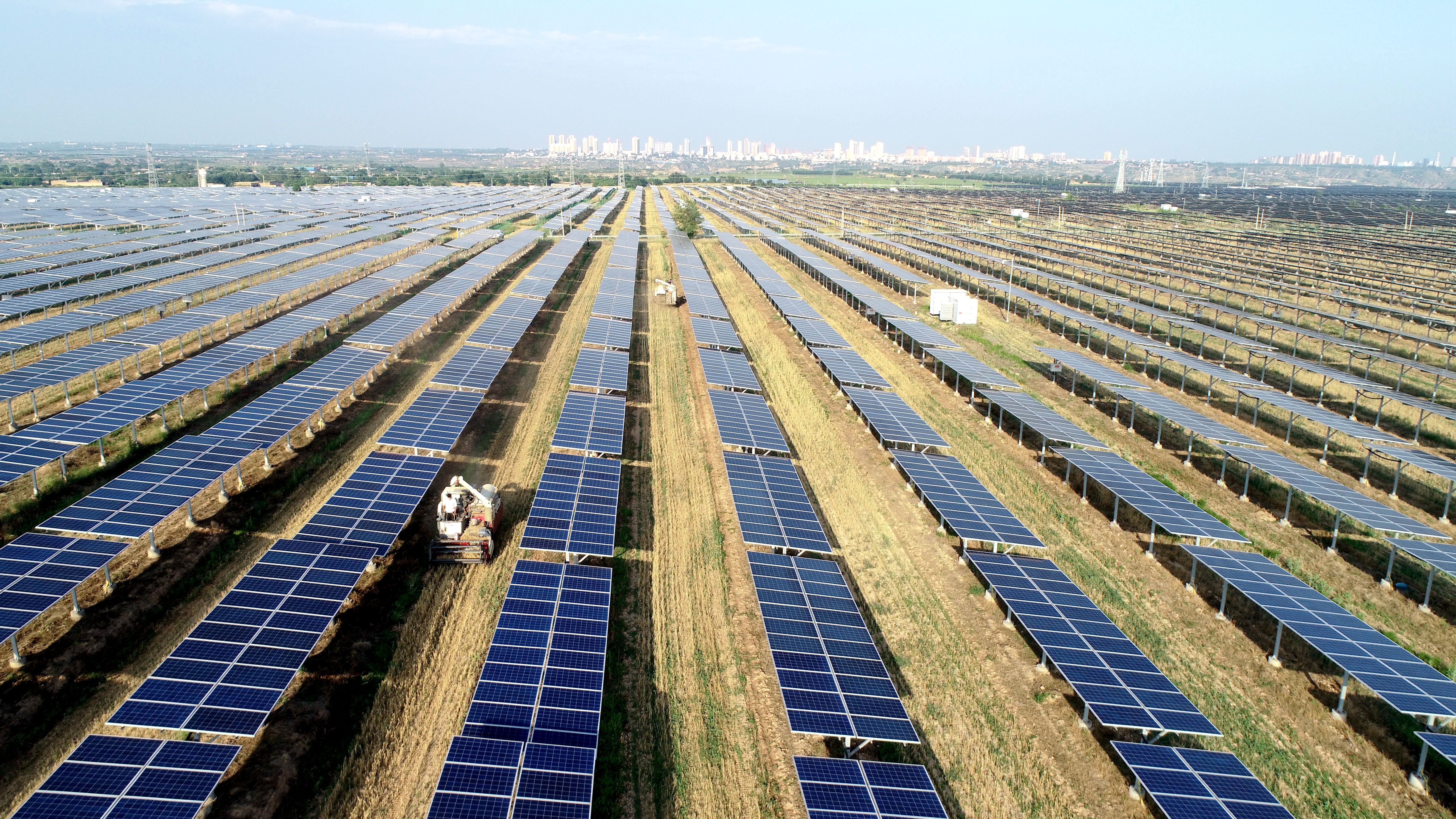 2.大唐澄城安里10萬千瓦農(nóng)光互補光伏電站采取“農(nóng)光互補”模式，不僅大大提高土地綜合利用率，還帶動當(dāng)?shù)卮迕裨诩议T口就業(yè)，促進農(nóng)民增收。任永紅攝 .jpg