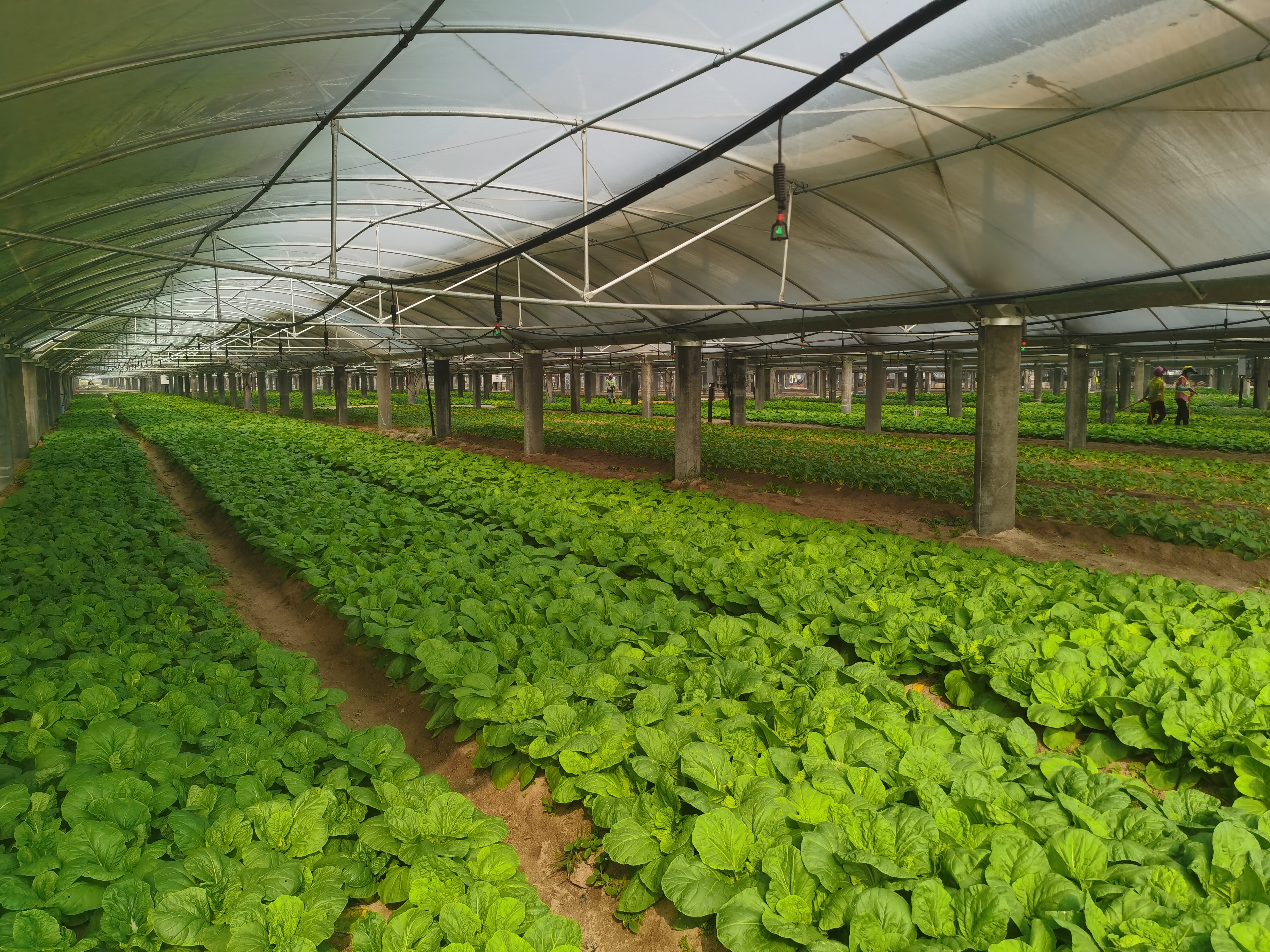 1678411523786075401.jpg 微信圖片_20230310092630.jpg